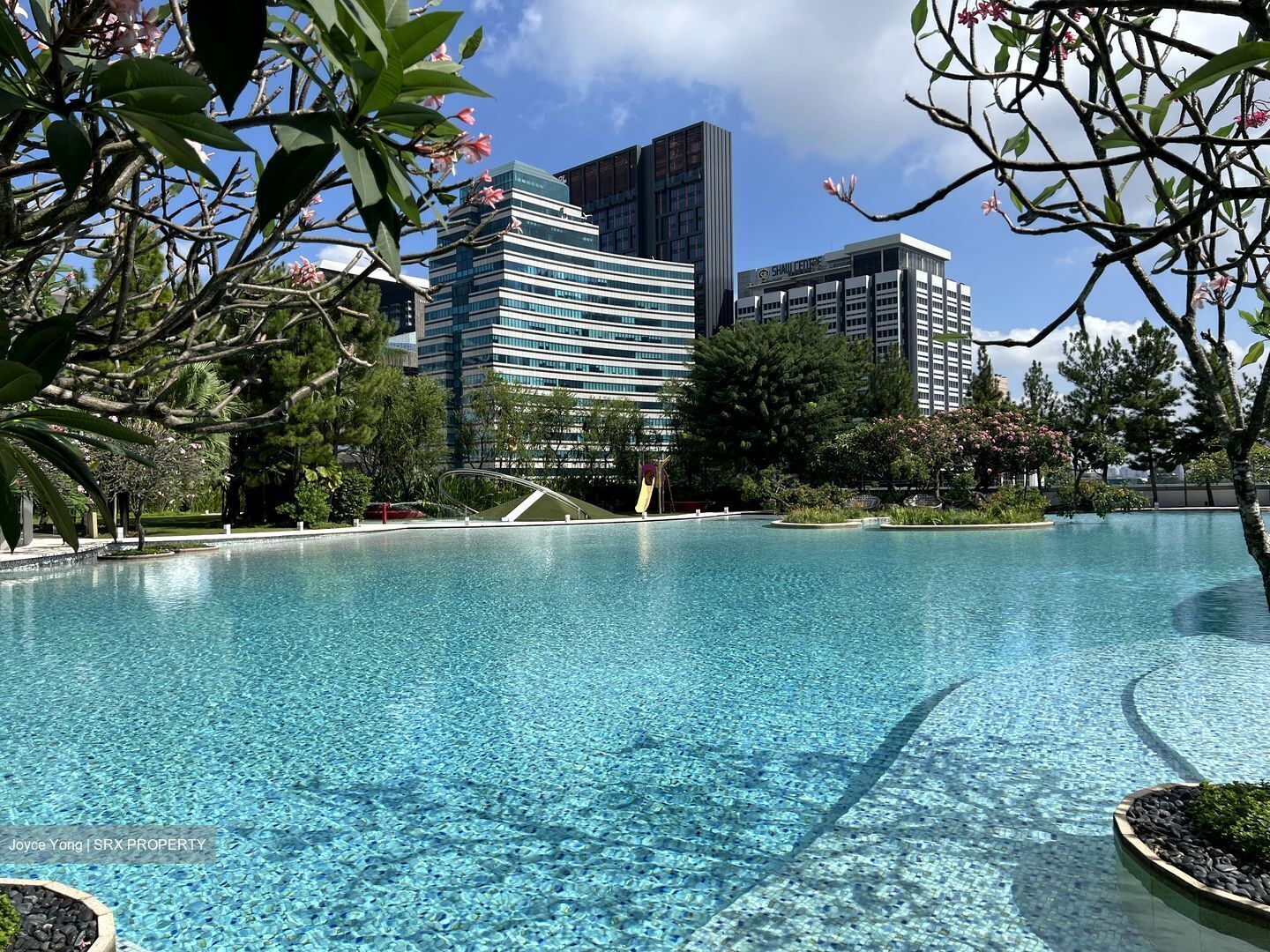 The Orchard Residences (D9), Apartment #537235401